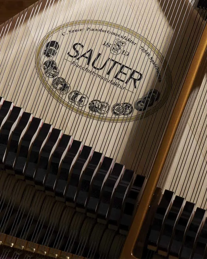 SAUTER Instrumente - Fl&uuml;gel